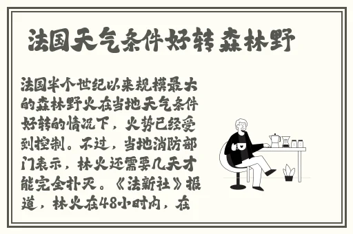 AV一级片在线播放
